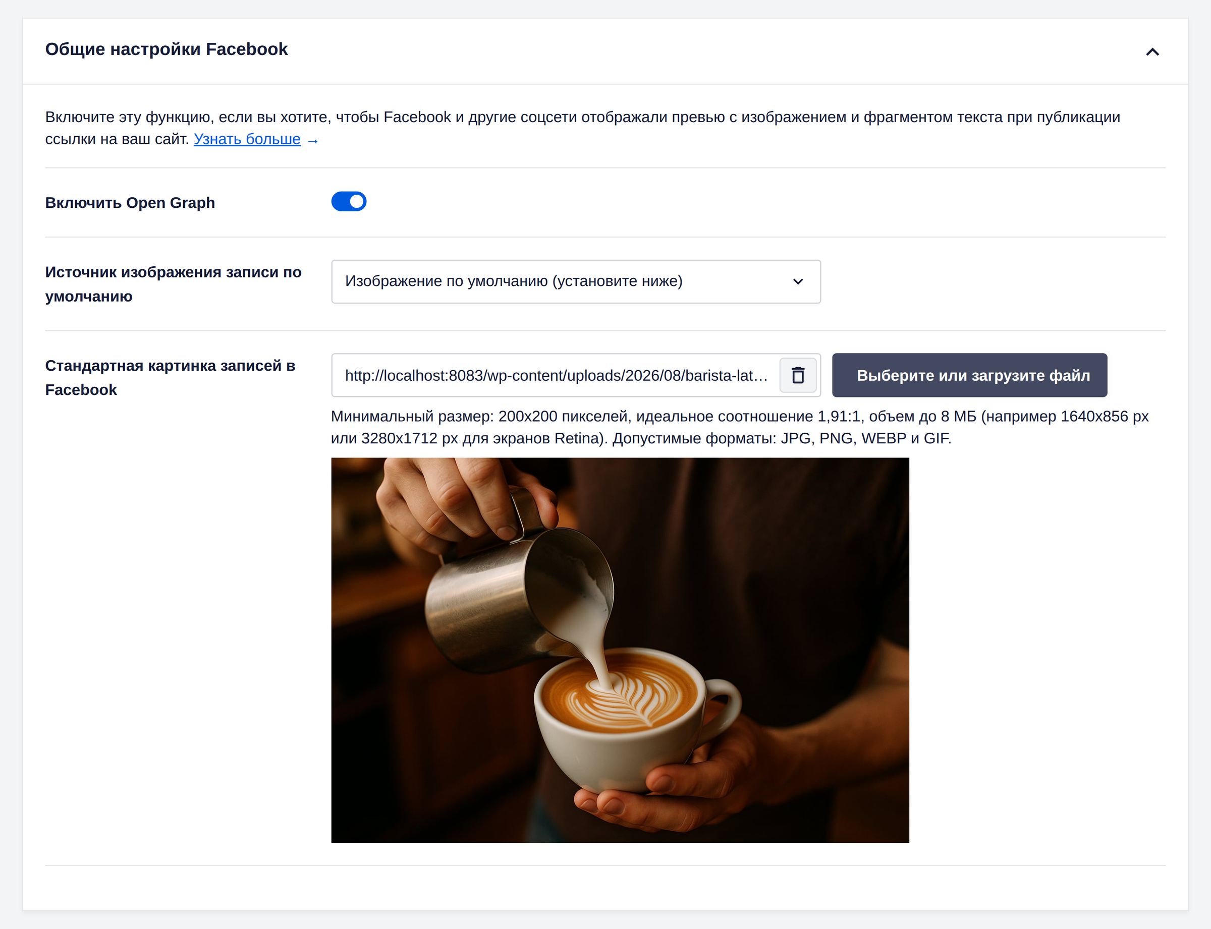 Настройки Open Graph для Facebook в All in One SEO