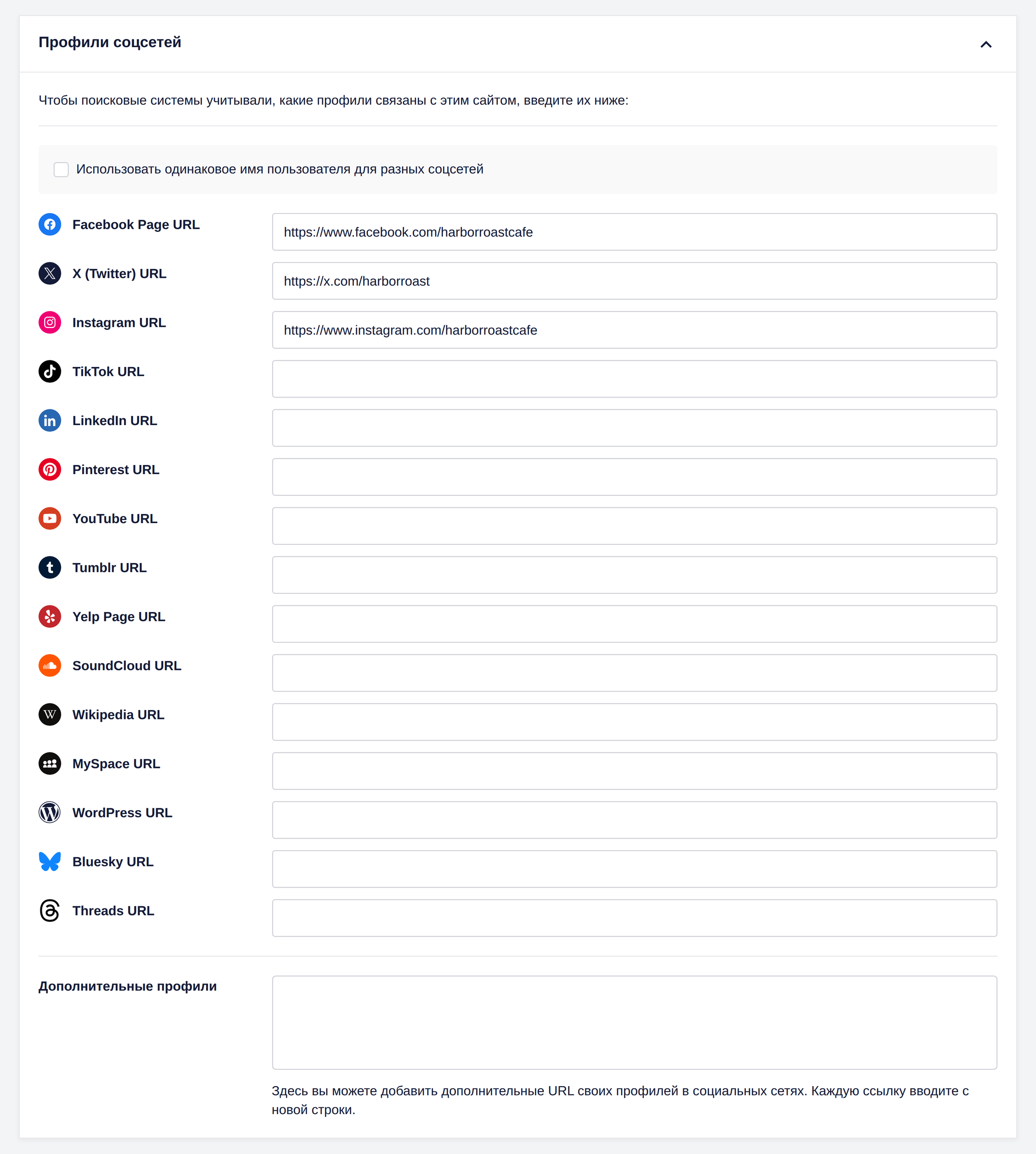 Вкладка профилей в соцсетях с адресами организации в All in One SEO