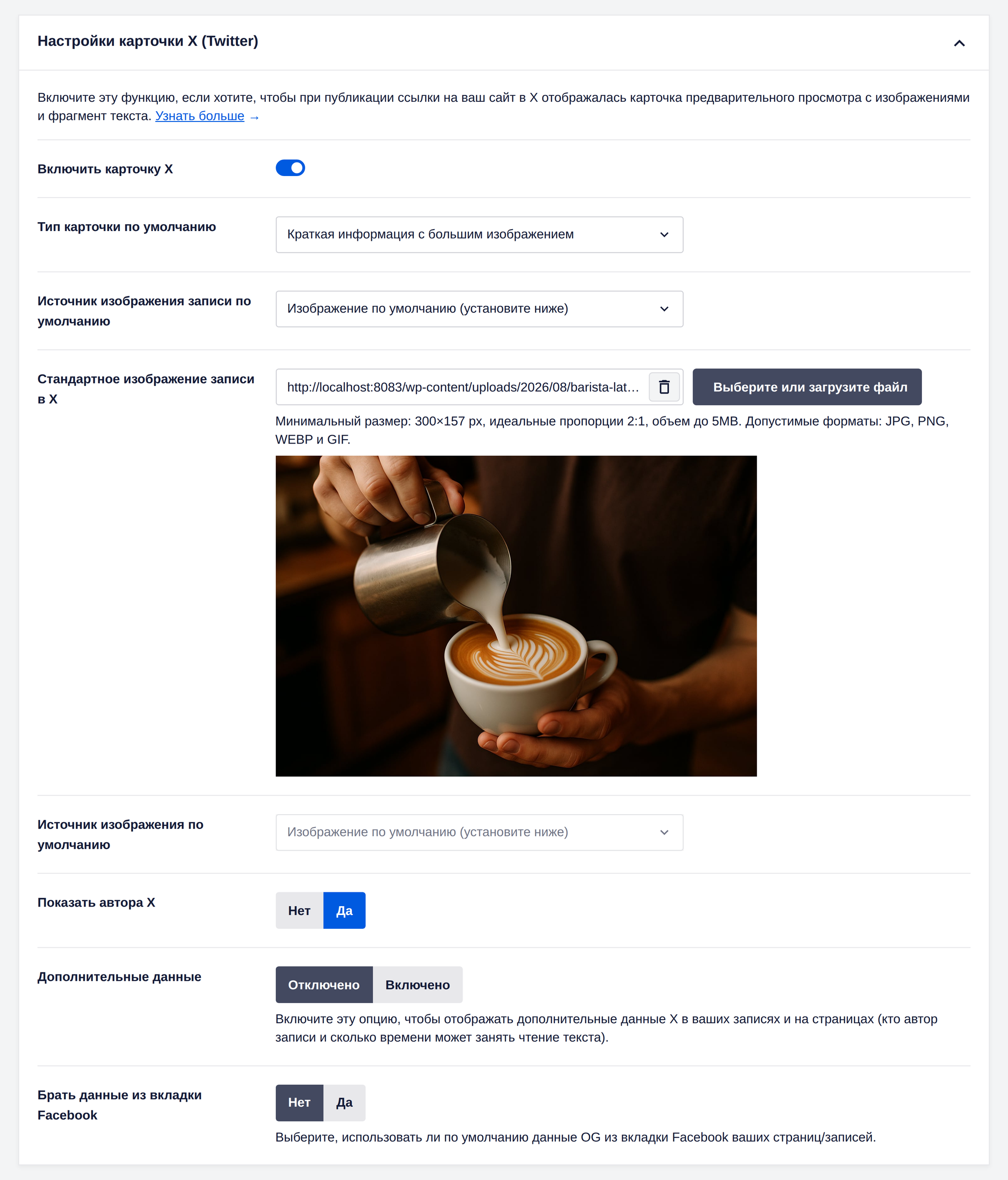 Настройки карточки X в All in One SEO
