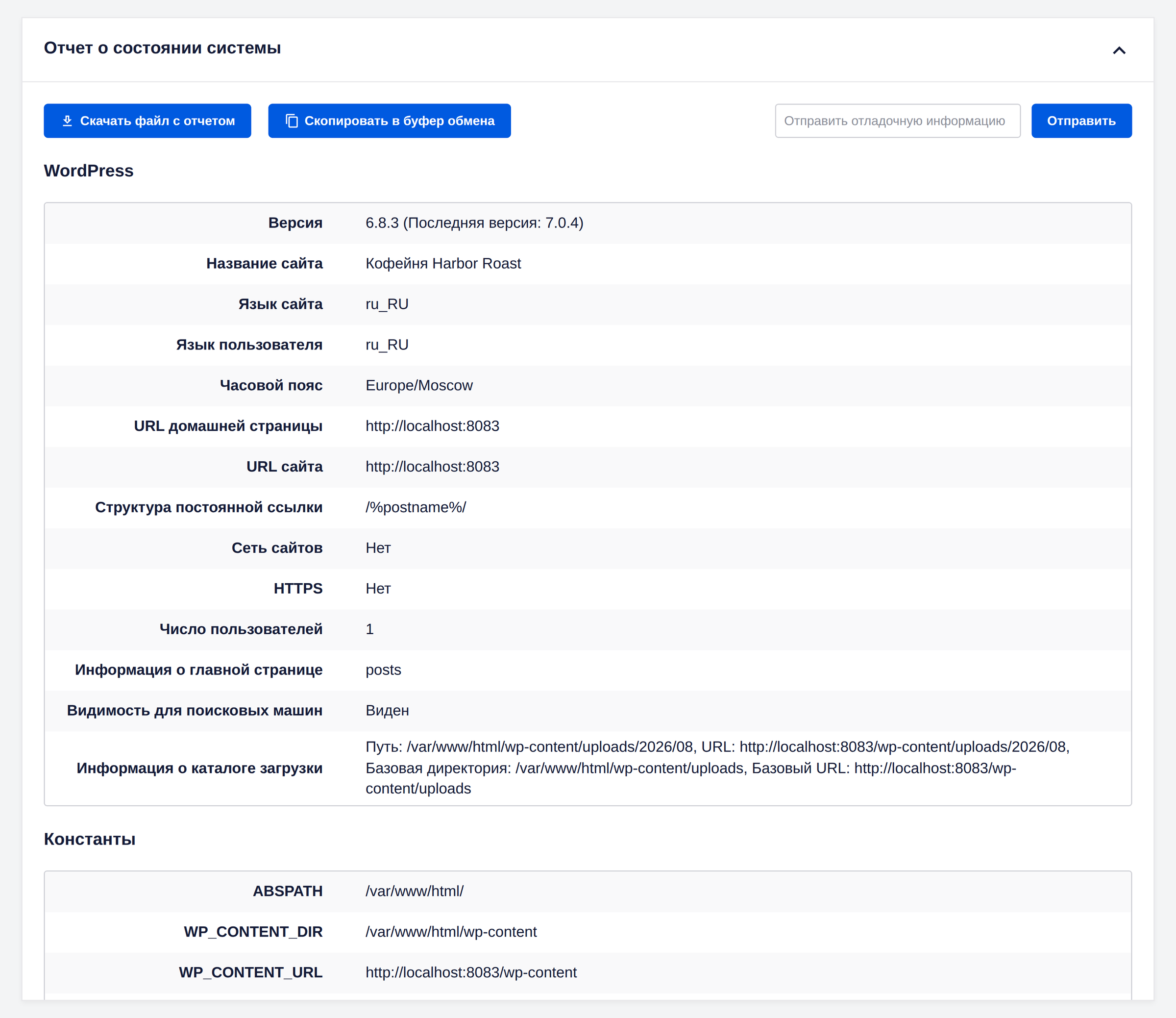 Экран «О системе» в инструментах All in One SEO